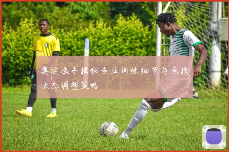 奥运选手揭秘专业训练细节与竞技状态调整策略