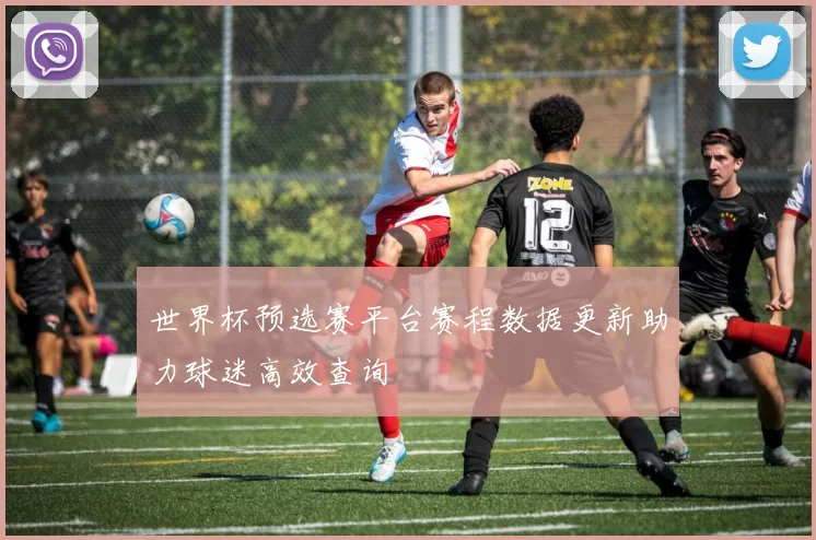世界杯预选赛平台赛程数据更新助力球迷高效查询
