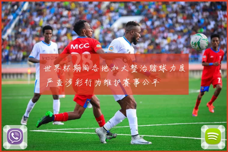 世界杯期间各地加大整治赌球力度 严查涉彩行为维护赛事公平